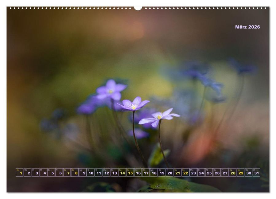 additionalImage8