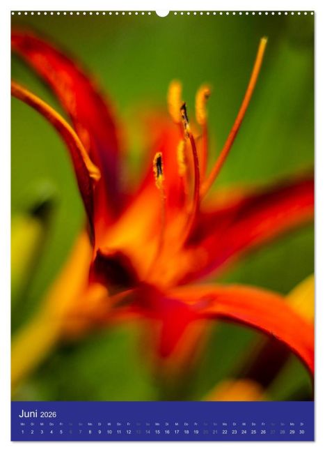 additionalImage11
