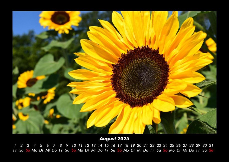 additionalImage12