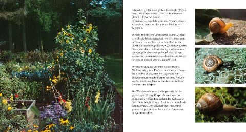 additionalImage1