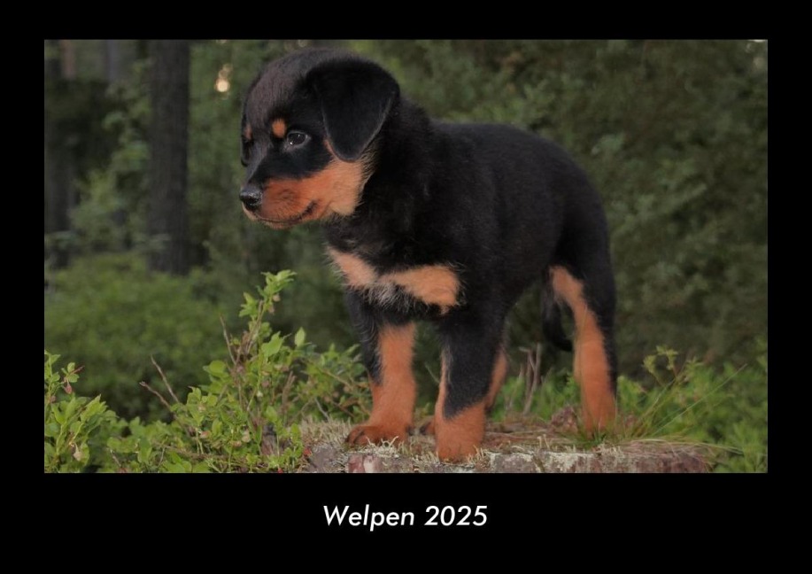 Welpen 2025 Fotokalender DIN A3 - Tobias Becker
