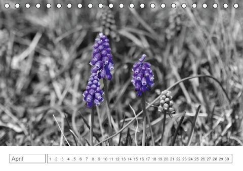 additionalImage4