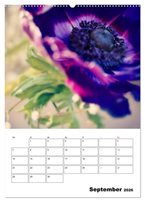 additionalImage14