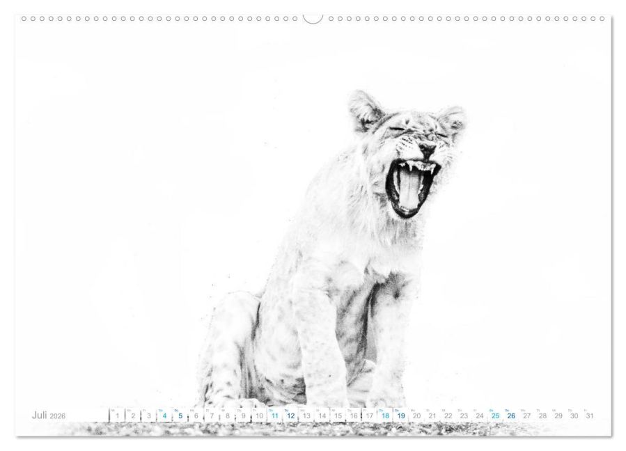 additionalImage12