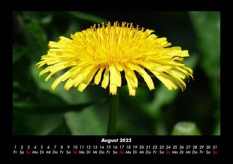 additionalImage12