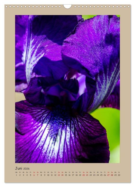 additionalImage11