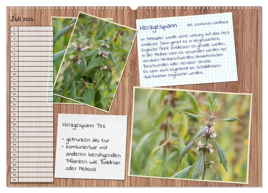 additionalImage12