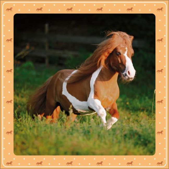 additionalImage7