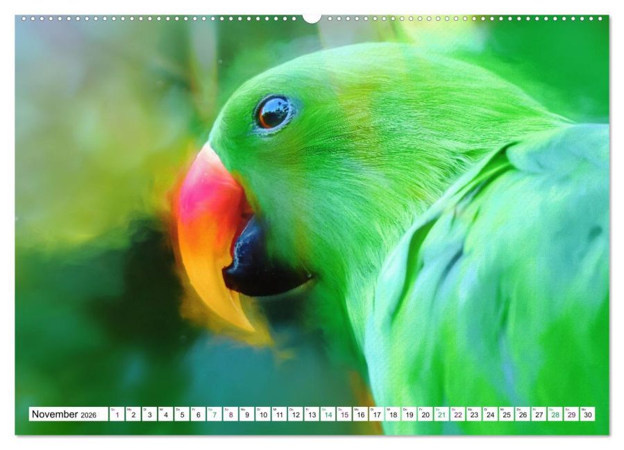 additionalImage2