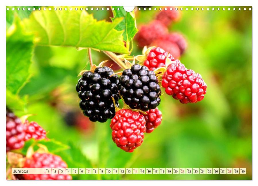 additionalImage11