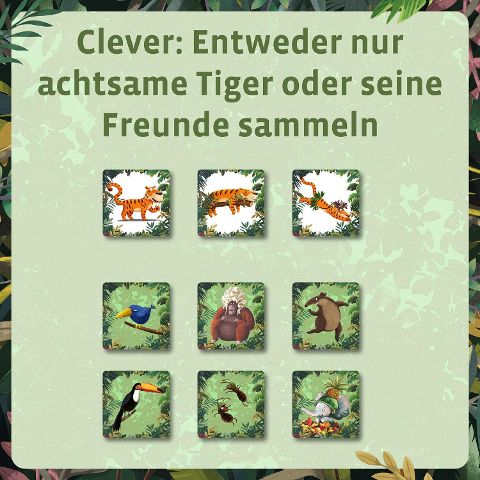additionalImage6