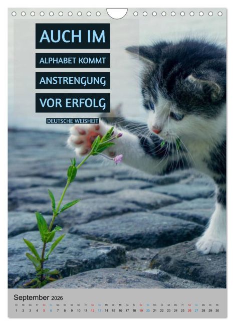 additionalImage14