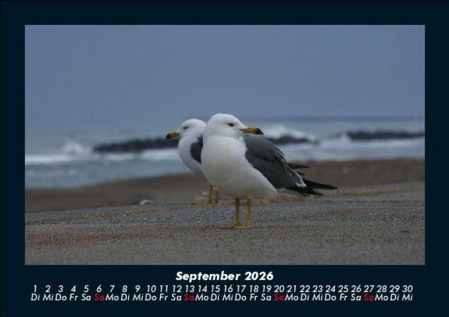 additionalImage1