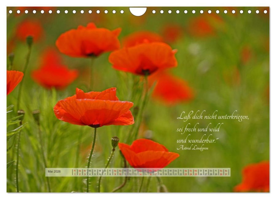 additionalImage10