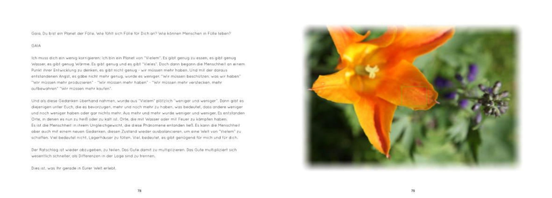 additionalImage5