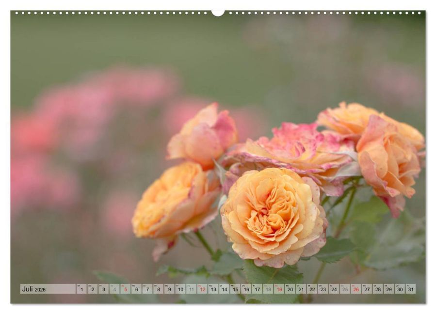 additionalImage12