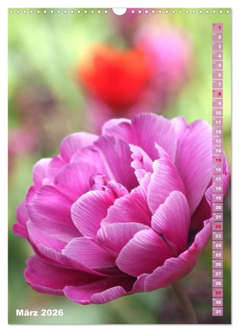 additionalImage8