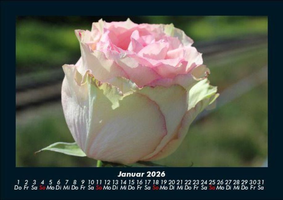 additionalImage5