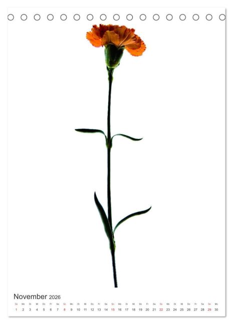 additionalImage3