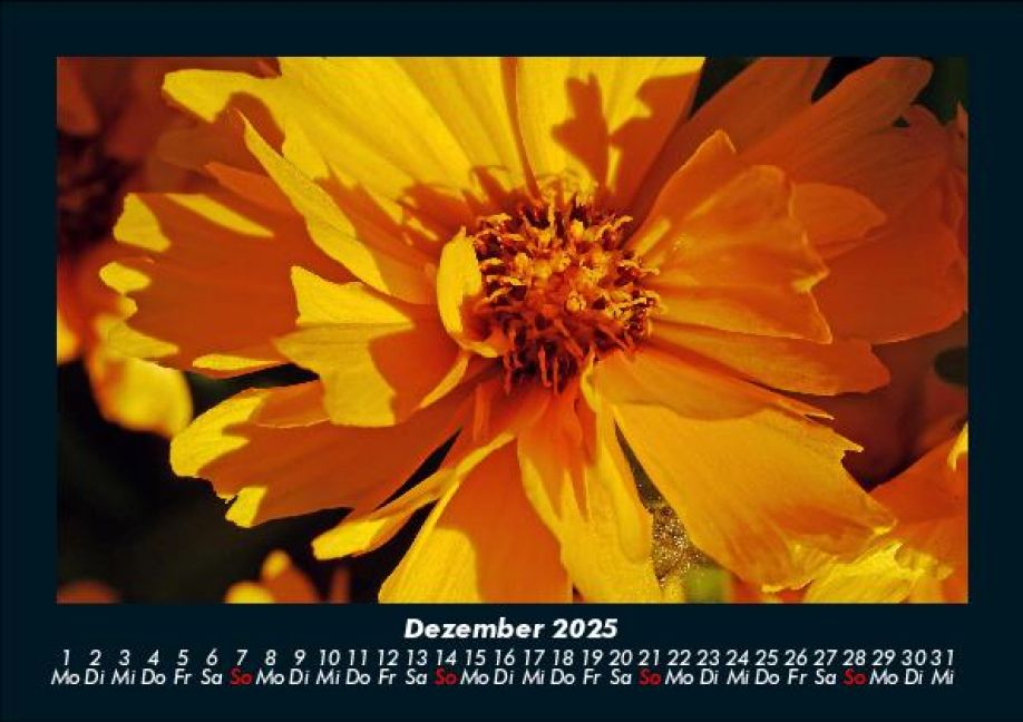 additionalImage4