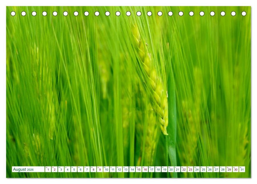 additionalImage13