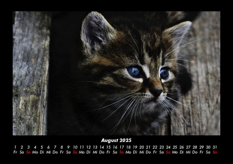 additionalImage12