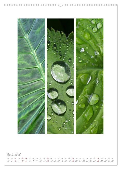 additionalImage8
