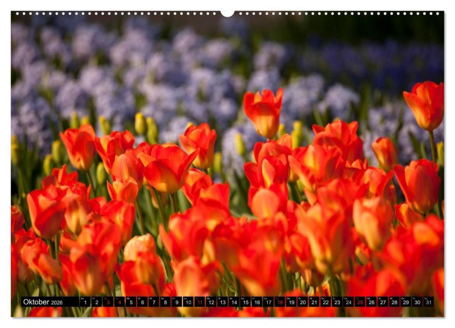 additionalImage2