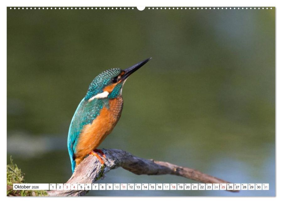 additionalImage1
