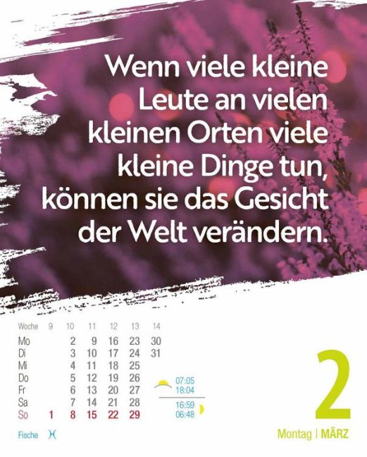 additionalImage4