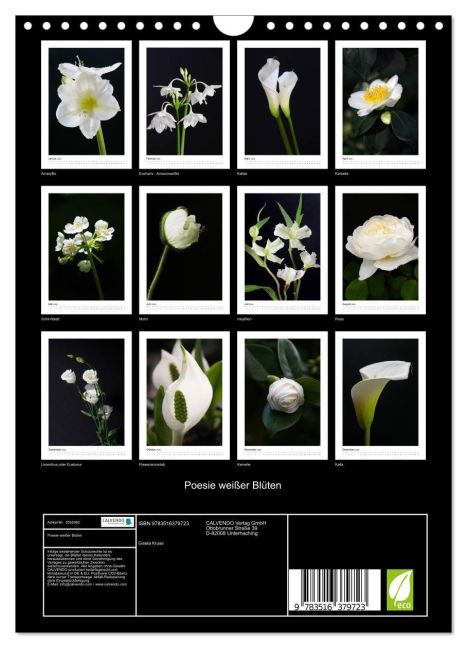 additionalImage5