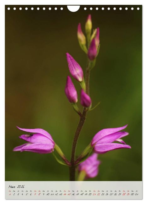 additionalImage8