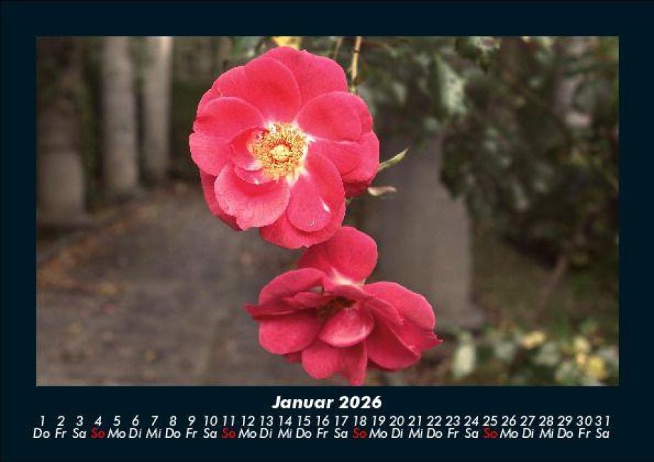 additionalImage5