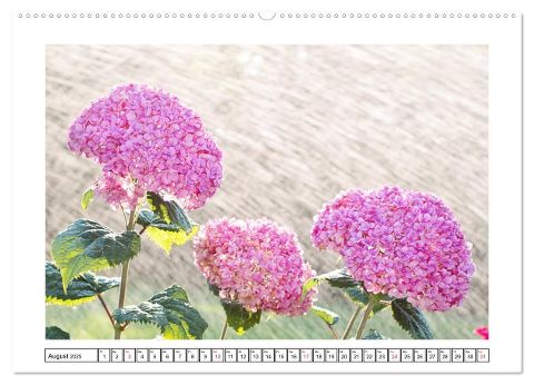 additionalImage13
