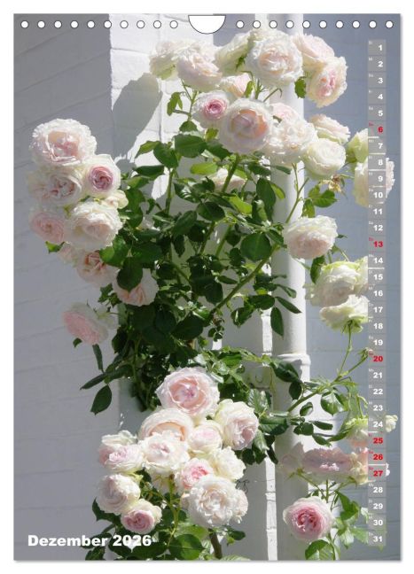 additionalImage4