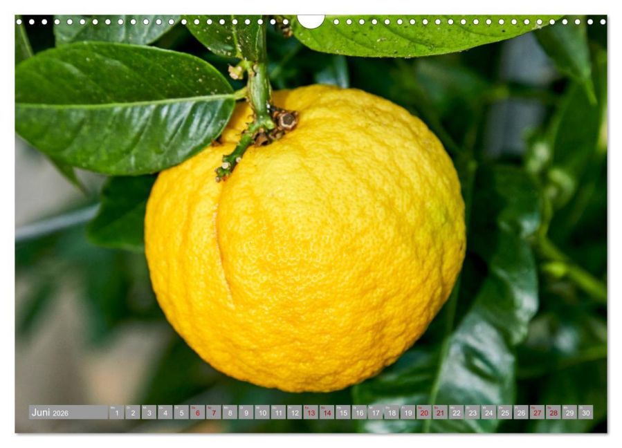 additionalImage11