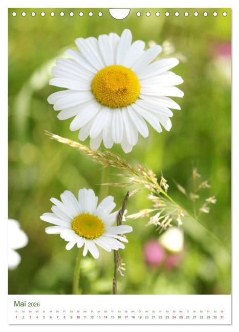 additionalImage10
