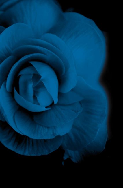additionalImage1