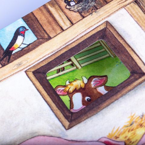 additionalImage3
