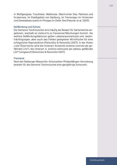 additionalImage16