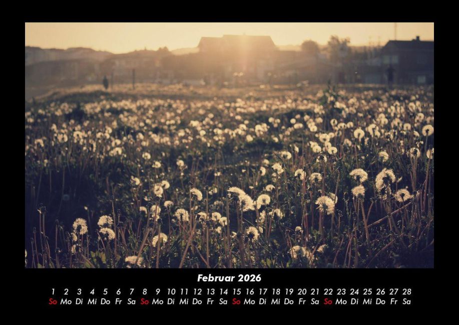 additionalImage6