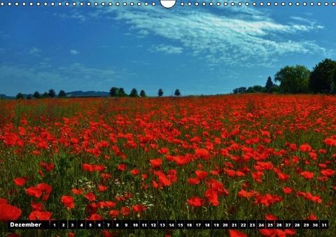 additionalImage12