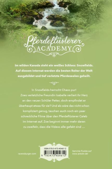 additionalImage1