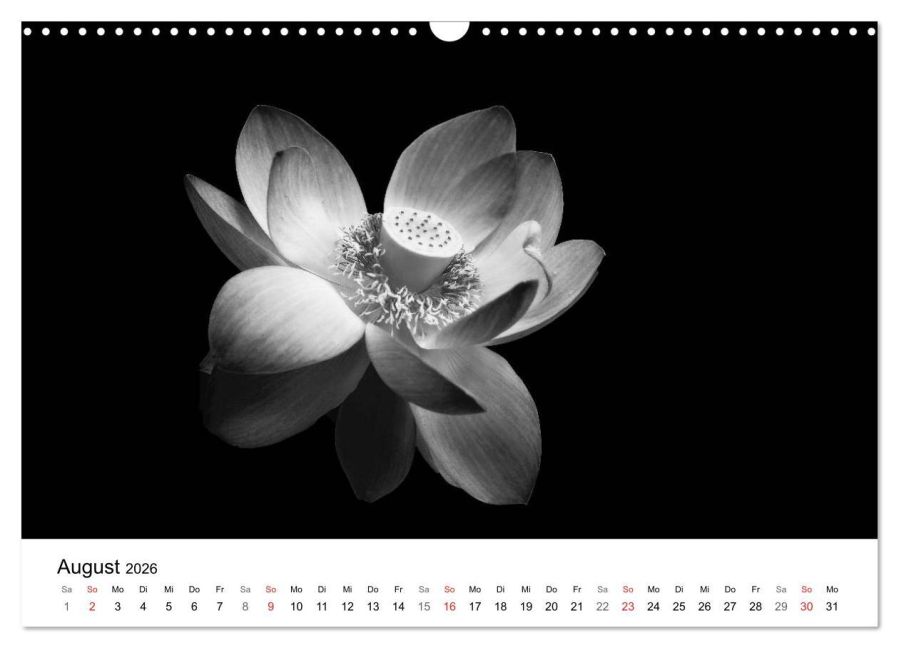 additionalImage13