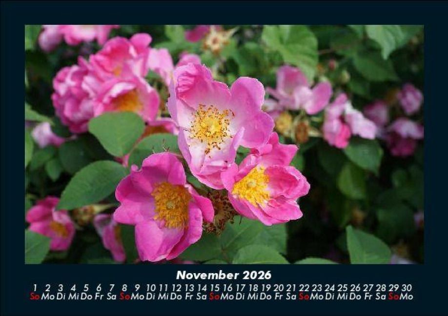 additionalImage3