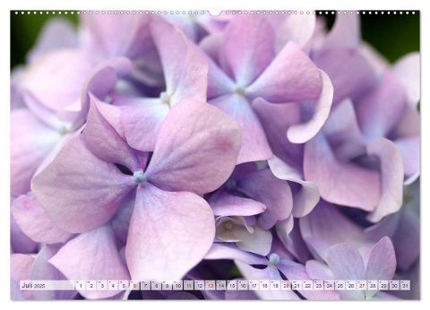 additionalImage9