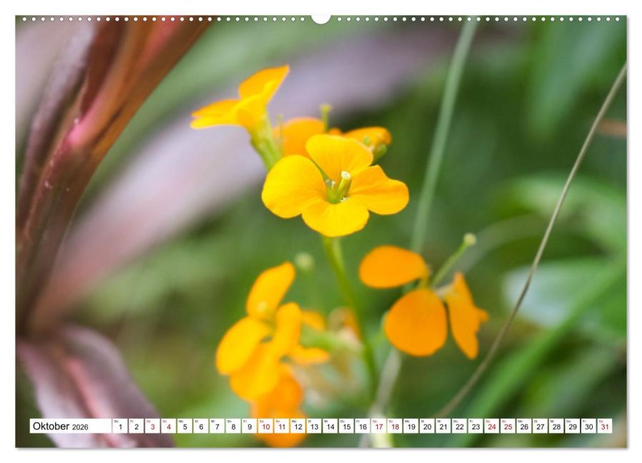 additionalImage2
