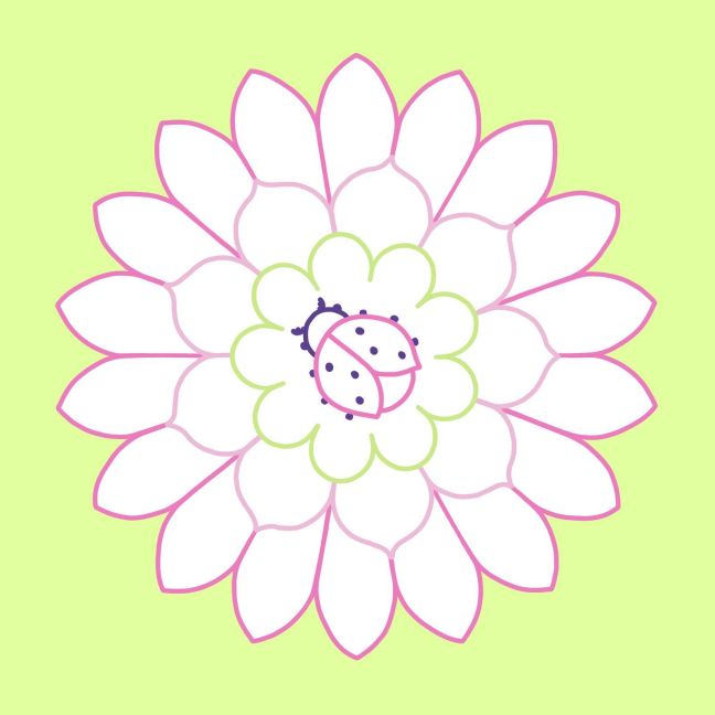 additionalImage4