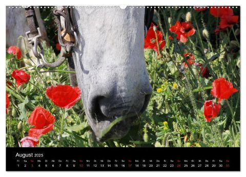 additionalImage13
