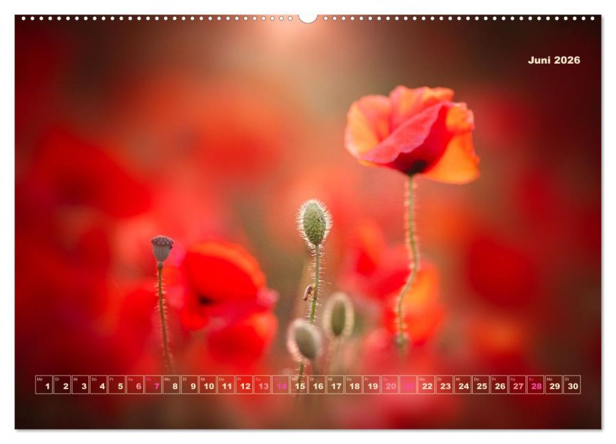 additionalImage11